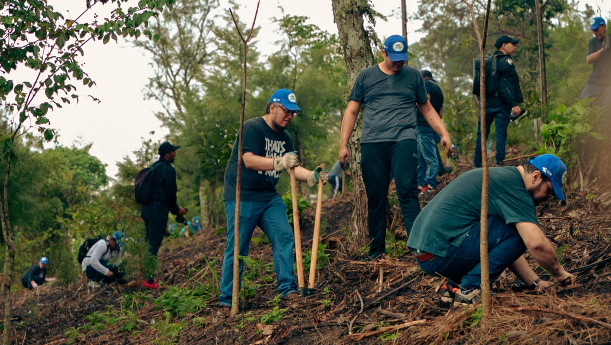 A001_125_20240608_000168